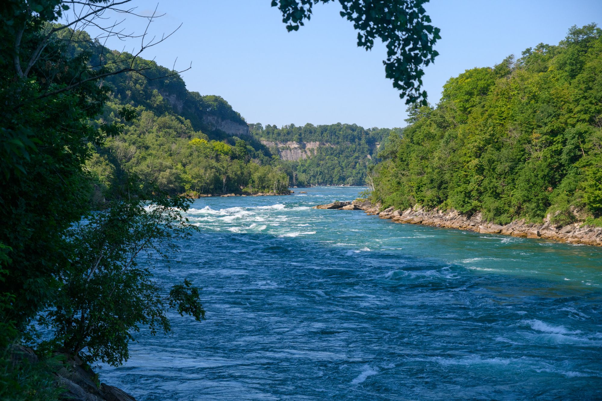 Gorge Trail, Falls, Jet Boat  (7 of 55)